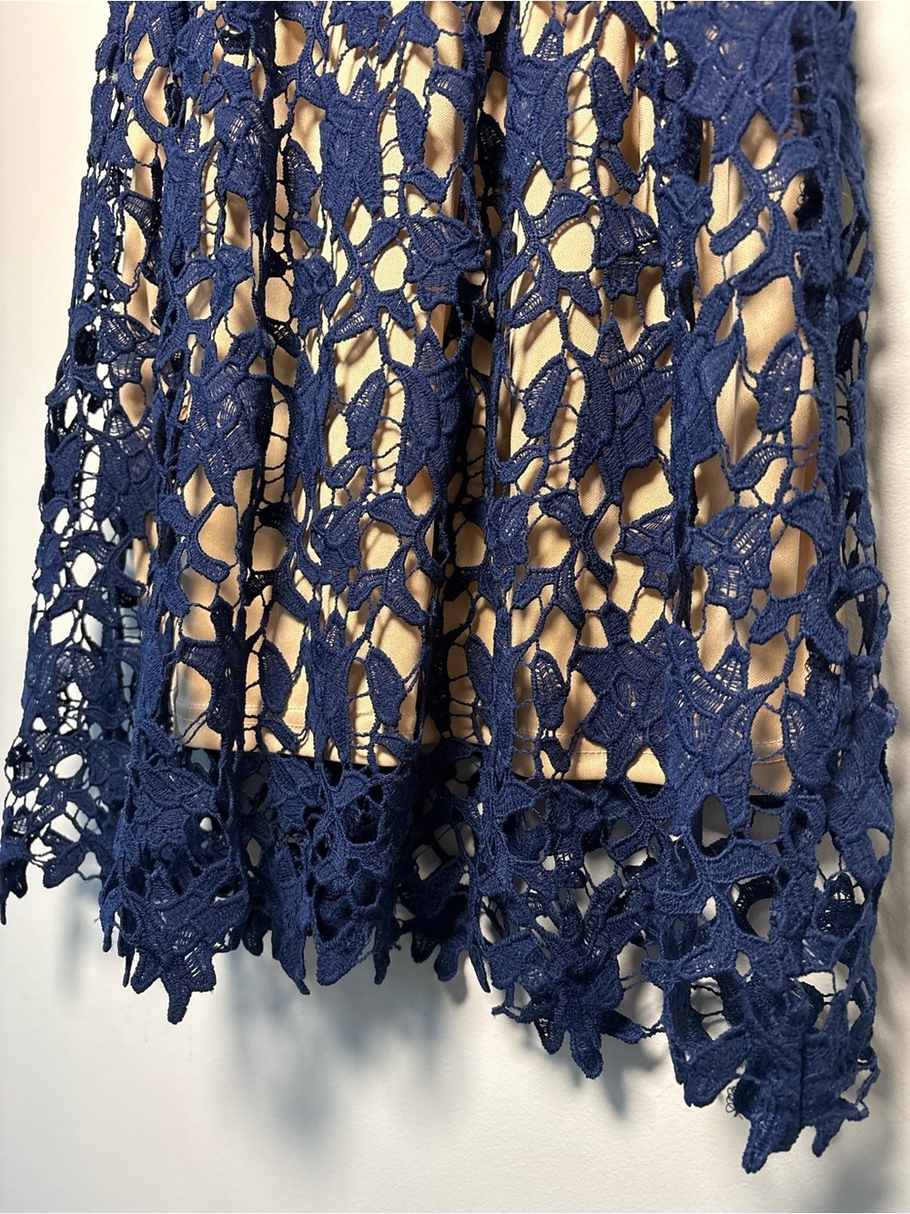 Francesca’s Navy Blue Lace Crochet Fit & Flare Dress Nude Lining Small Cocktail - Picture 2 of 10